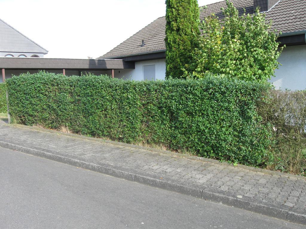 Ferienwohnung Auf Dem Bunberg Bebra Exterior foto